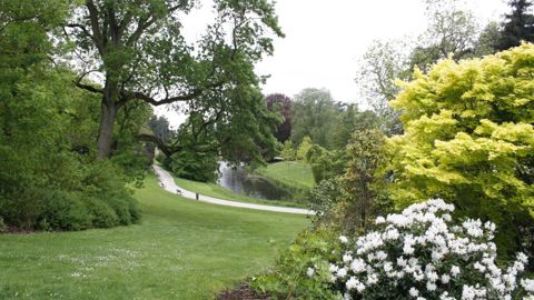 L’association Plante & Cité a lancé la deuxième partie de son enquête sur la prise en compte de la nature en ville. ©Léna Hespel
